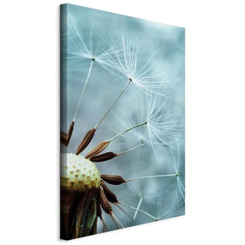  Slika - Elevation of Space (1 Part) Vertical 20x30 Cijene