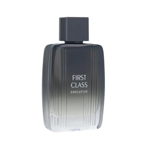 Aigner First Class Executive 100 ml toaletna voda tester za muškarce Cijene