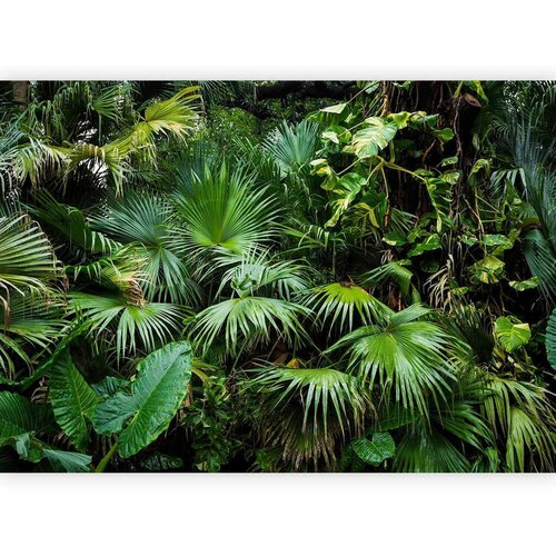 Artgeist Fototapeta Sunny Jungle, 250x175cm Cene