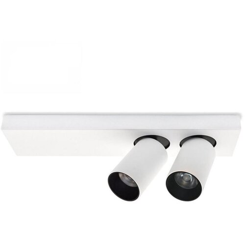  LED plafonsko spot svetlo BERGEN 2xLED/11W/230V Slike