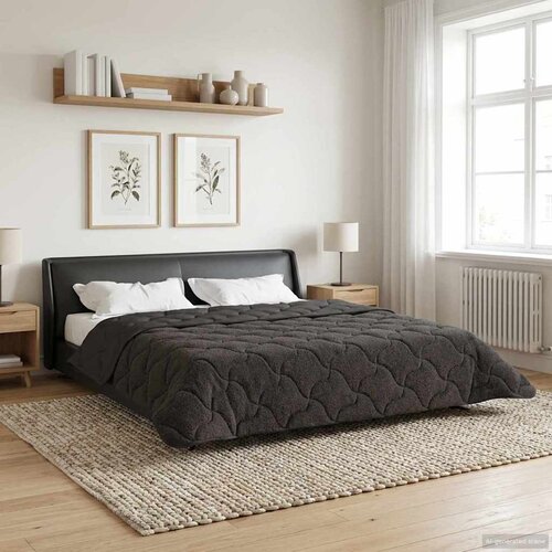  Zimska pokrivača Antracit 200 x 200 cm Mikrofibra i teddy flis Cijene