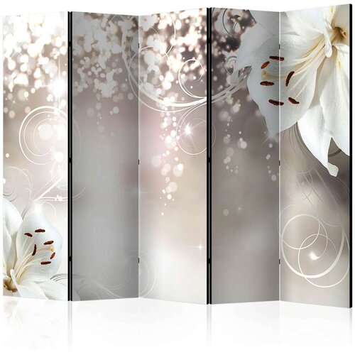  Paravan u 5 dijelova - Magic composition II [Room Dividers] 225x172 Cijene