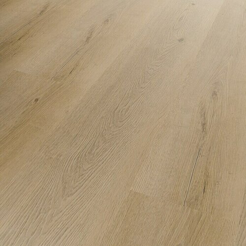 B!DESIGN Podna vinilna obloga SPC Silent Worcester (1.220 x 230 x 4,8 mm, Rustikalni pod) + BAUHAUS jamstvo 25 godina Cijene