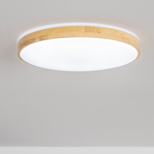  Brilagi - LED prigu&amp;scaron;iva plafonska svetiljka PINE LED/60W/230V + daljinski upravljač Slike