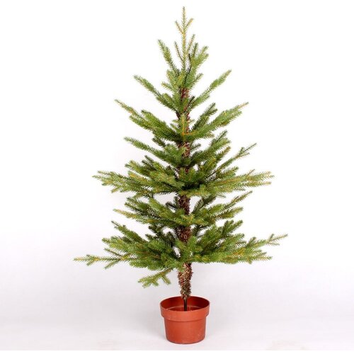  Novogodi&amp;scaron;nja jelka u saksiji 90cm 190042 Slike