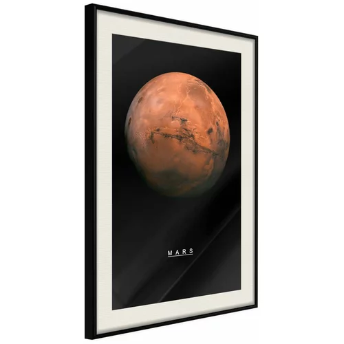  Poster - The Solar System: Mars 40x60