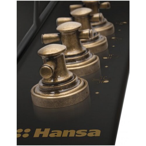 Hansa kuhalna plo&amp;scaron;ča BHGA620390, Retro, črna, antracit Slike