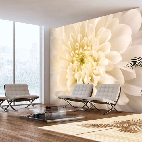  Tapeta - White dahlia 300x231 Slike