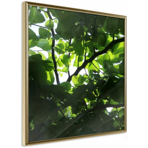  Poster - Under Cover of Leaves 20x20