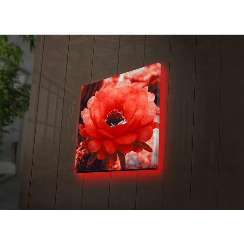 Wallity Slika sa LED osvetljenjem 4040DACT-46, 40x40 cm Cene