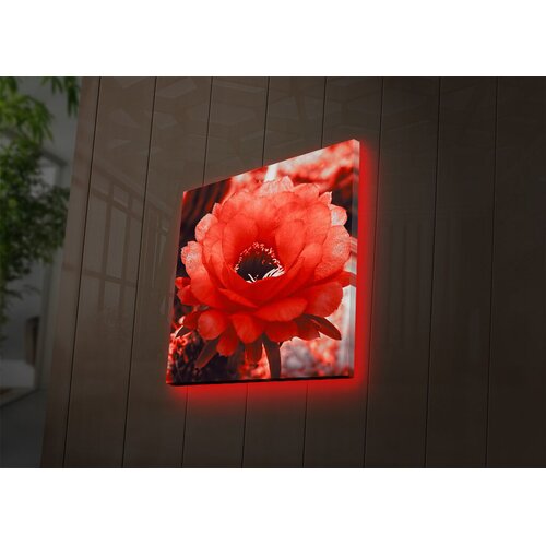 Wallity Zidna slika sa LED osvetljenjem 4040DACT-46, 40x40 cm Cene