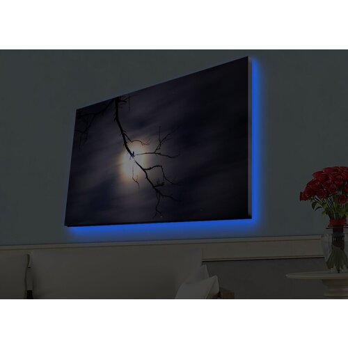 Wallity Slika sa LED osvetljenjem 4570HDACT-019, 45x70 cm Cene
