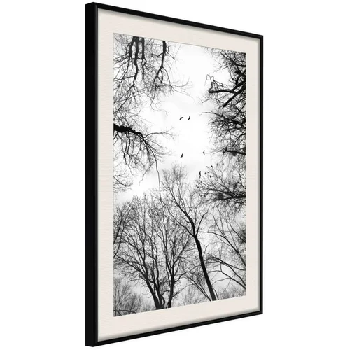  Poster - Treetops 20x30