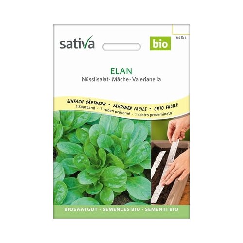 Sativa Motovilec, Elan semenski trak Slike