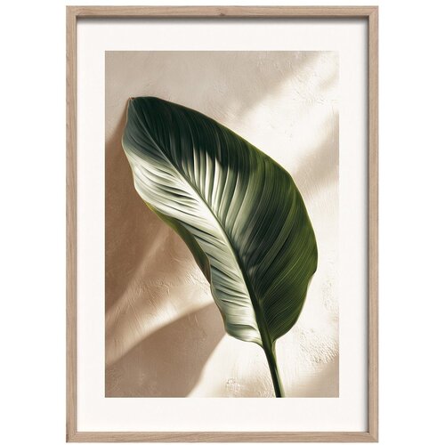 Styler Tiskana slika s okvirom 50x70 cm Strelizia Leaf &ndash; Cijene