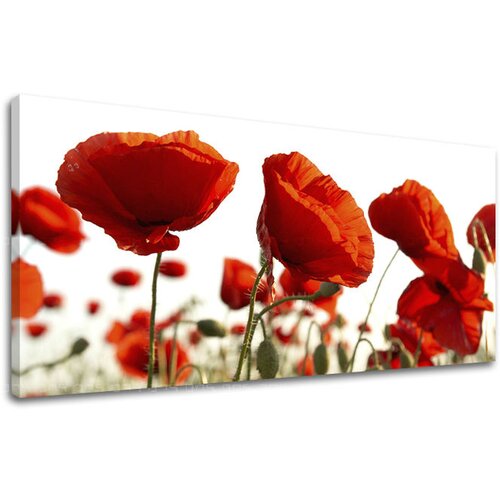  Panoramska stenska slika Cvetje 60x120 cm Cene