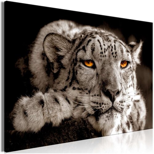  Slika - Magic Eyes (1 Part) Wide 120x80 Cijene