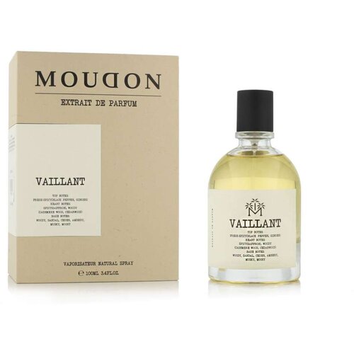 Parfem Vaillant 100 ml parfumski ekstrakt unisex Cene