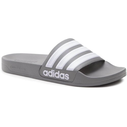 Adidas Natikače 'Adilette Shower' tamo siva / bijela Cene