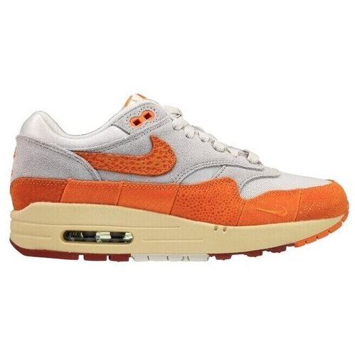 Nike Nizke superge Air Max 1 pisana Cene