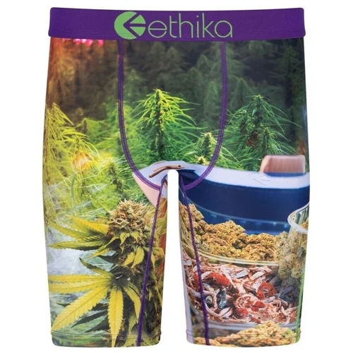 Ethika Zelena