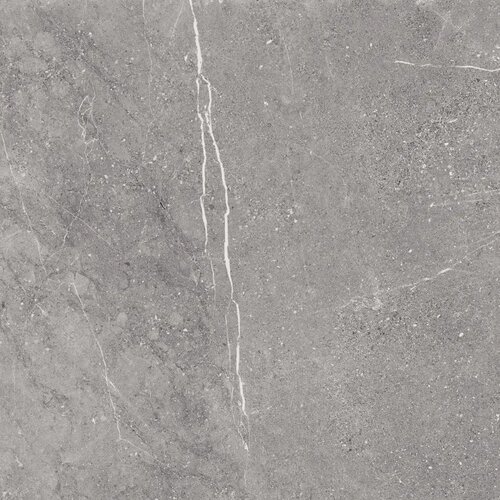 Viper Grey 59,7x59,7 Slike