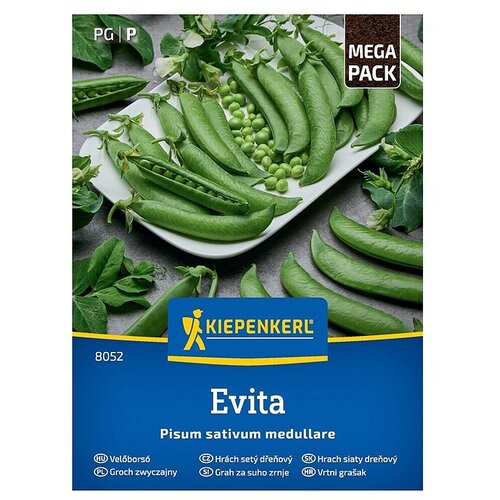 KIEPENKERL Zelenjavna semena Grah Evita (Pisum sativum, Čas žetve: Junij) Cene