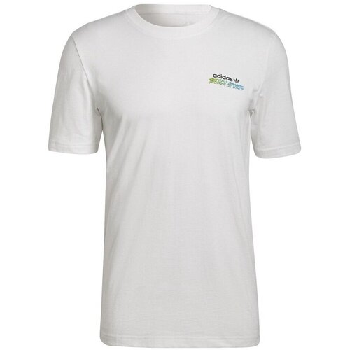 Adidas Majice s kratkimi rokavi Stokd Tee Flowe Bela Cene