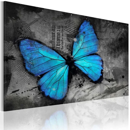  Slika - The study of butterfly 90x60