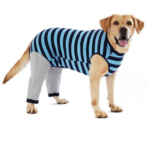 INF Oblačila za pse Corgi Teddy - Jesenska in zimska oblačila za male in velike pse Blue S, (5000078516) Cene
