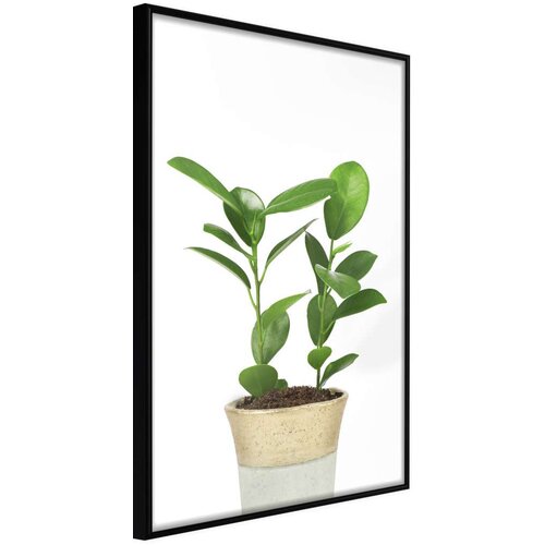  Poster - Piece of Nature II 30x45 Cene