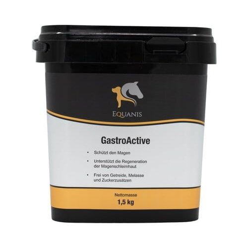  GastroActive Cene