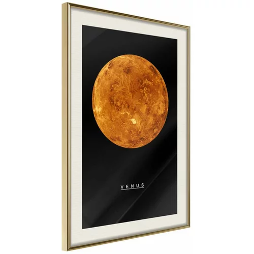  Poster - The Solar System: Venus 20x30