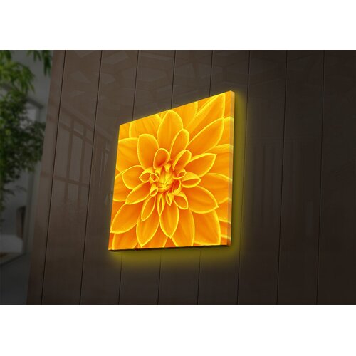 Wallity Zidna slika sa LED osvetljenjem 4040DACT-31, 40x40 cm Cijene
