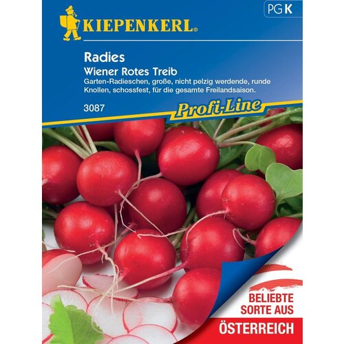  Redkvica &amp;quot;Wiener Rotes Treib&amp;quot; - 1 pkt. Slike