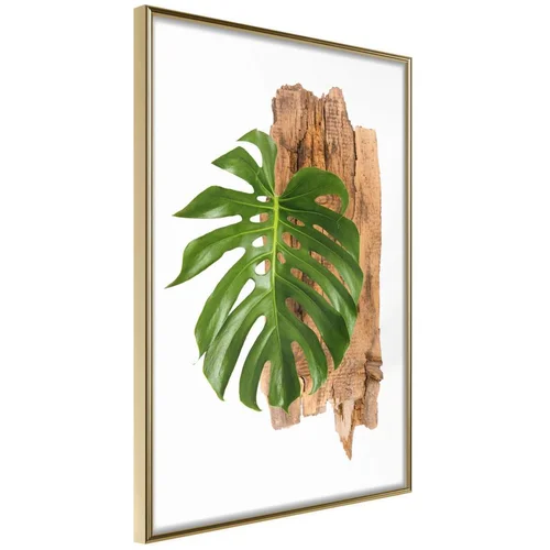  Poster - Leafy Etude 40x60