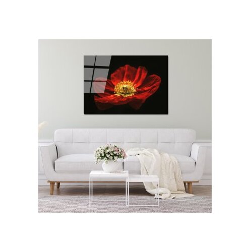 Wallxpert dekorativna slika od kaljenog stakla cvetan cvet crvenog maka (uv 204) 70 x 100cm Slike