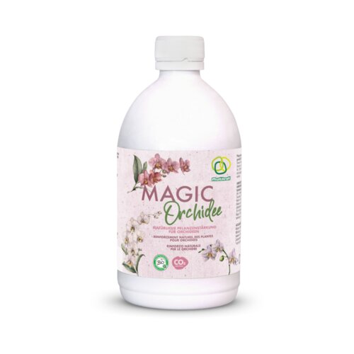 Magic Orchid Cene