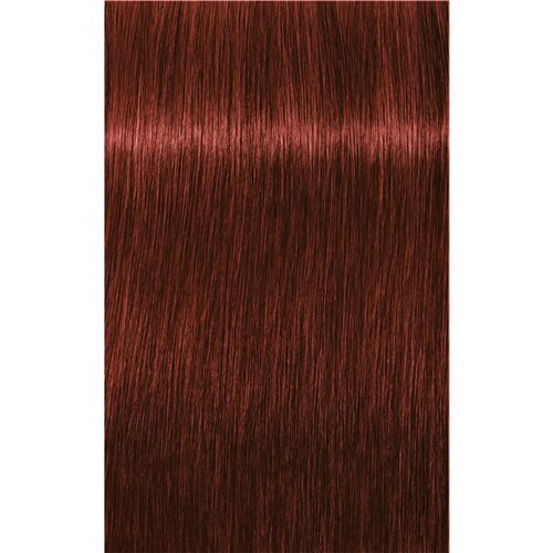 Schwarzkopf igora Royal Absolutes - 6-80 temno blond rdeča natur, 60 ml Slike