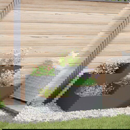 VidaXL Vrtna sadilica Antracit Plastika 100 x 100 x 60 cm Sadilice Slike