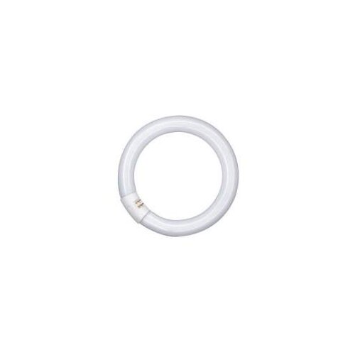 Osram FLUOCIJEV L32W-840 CT9 G10Q 581143 Cijene