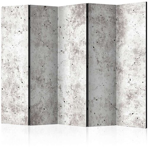  Paravan u 5 dijelova - Urban Style: Concrete II [Room Dividers] 225x172 Slike
