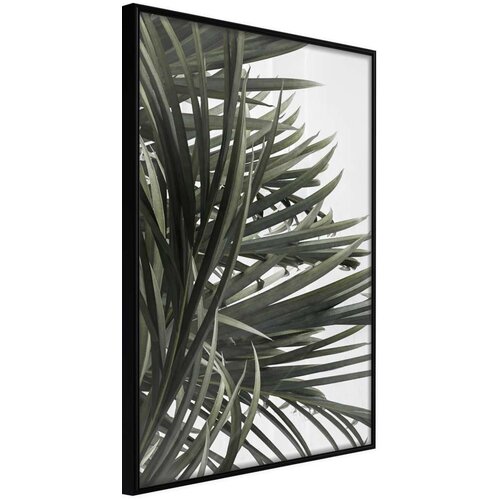  Poster - Little Tropics 30x45 Cene