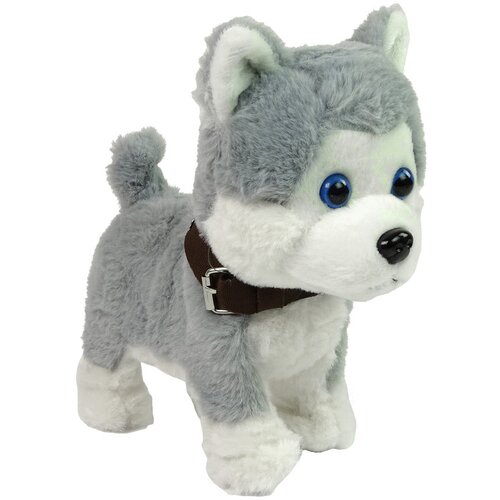  Plush Dog Interactive Educational Leash Songs Walks Slike