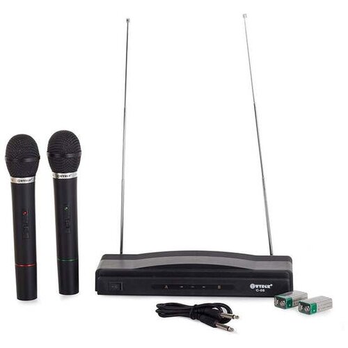VERK_GROUP VERK GROUP brezzicni karaoke sistem 2x brezzicni mikrofon + Cene