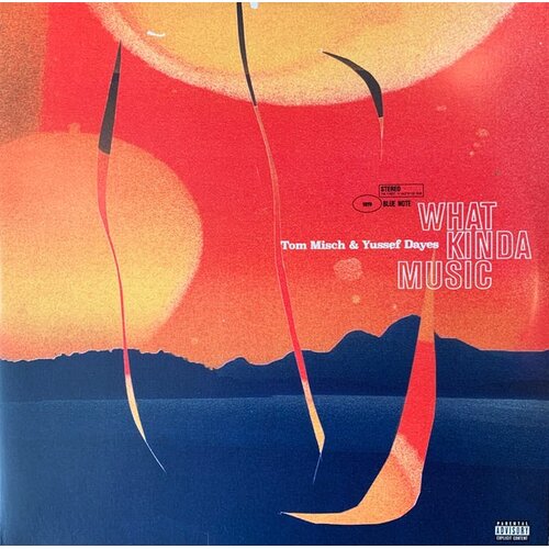  TOM MISCH & YUSSEF DAYES - WHAT KINDA MUSIC Cene