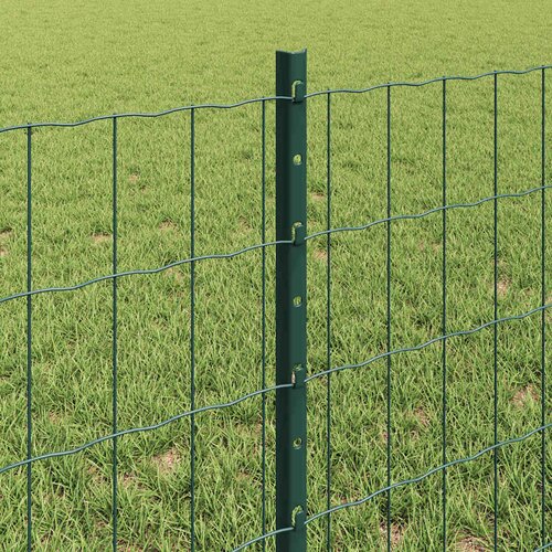 Euro ograda s postom 10 x 0,6 m Čelik premazan PVC-om Zelena Slike