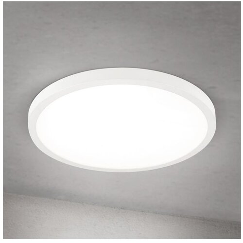 Orion LED prigu&scaron;iva stropna svetiljka DISC LED/30W/230V 2700/3000/4000K prečnik 40 cm bela Cene