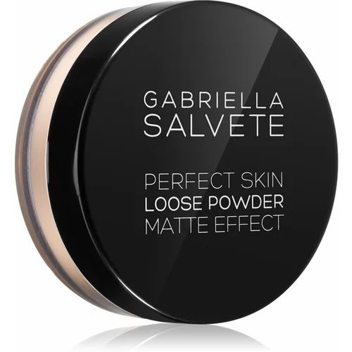 Gabriella Salvete Perfect Skin Loose Powder mat puder 6,5 g odtenek 01
