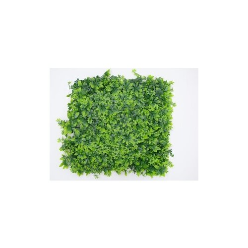 BOLZZ zeleni zid 3D nature 50X50 cm bolzzidnature Cene